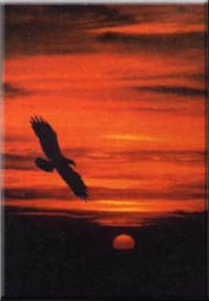 Freedom
