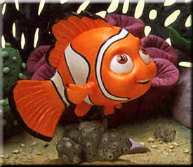 Nemo