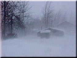 Snow Storm
