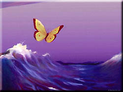 Flying Butterfly