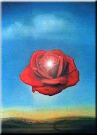 The Rose