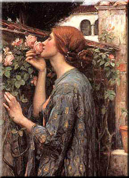 The Soul Of The Rose