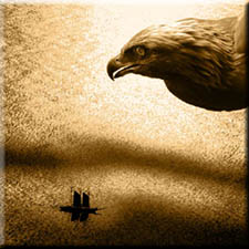 Fly Like An Eagle