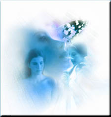 Stealing Beauty