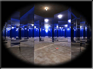 House of Mirrors from Visual Paradox