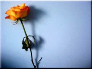 Alone