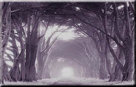 Into The Light