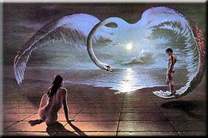 Wings of Love