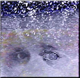 Silent Snow, Secret Snow