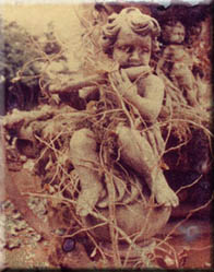 Cherubs