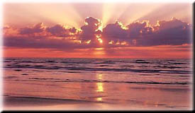 The Lord is my Light