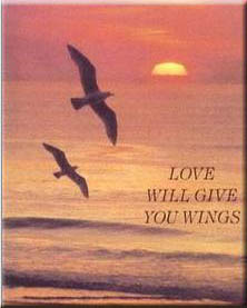 Love Will Give You Wings