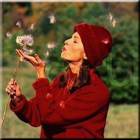 Woman Blowing Dandelion Seed Heads 