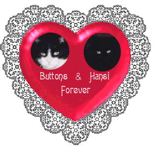 Buttons and Hansi