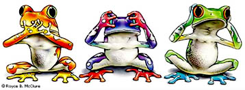 No Evil Frogs