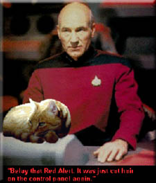 Picard's Order