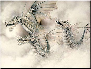 Snow Dragons
